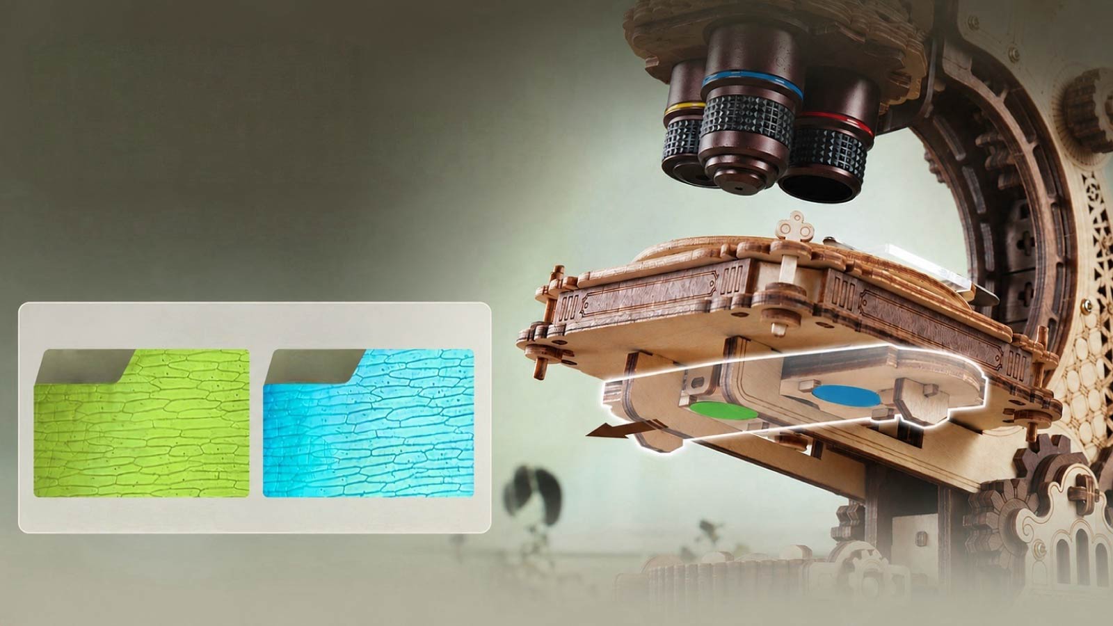 Microscope